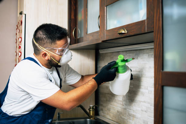 Best Residential Pest Control  in Burr Ridge, IL