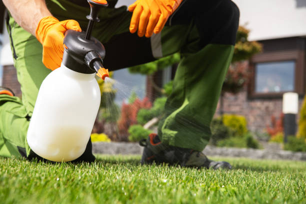 Professional Pest Control in Burr Ridge, IL