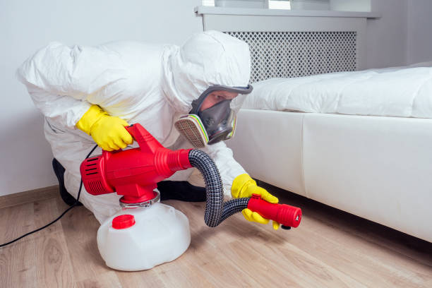 Best Bed Bug Extermination  in Burr Ridge, IL