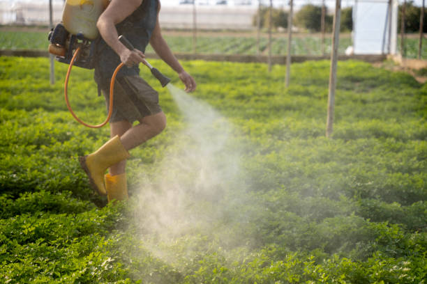 Best Pest Removal Services  in Burr Ridge, IL