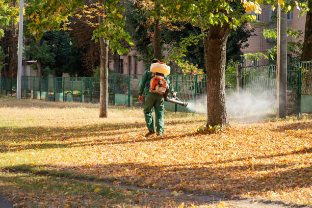 Best Pest Prevention Services  in Burr Ridge, IL