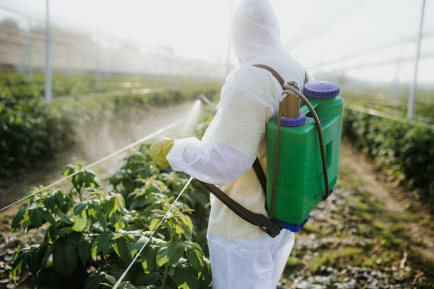 Best Affordable Pest Control Services  in Burr Ridge, IL